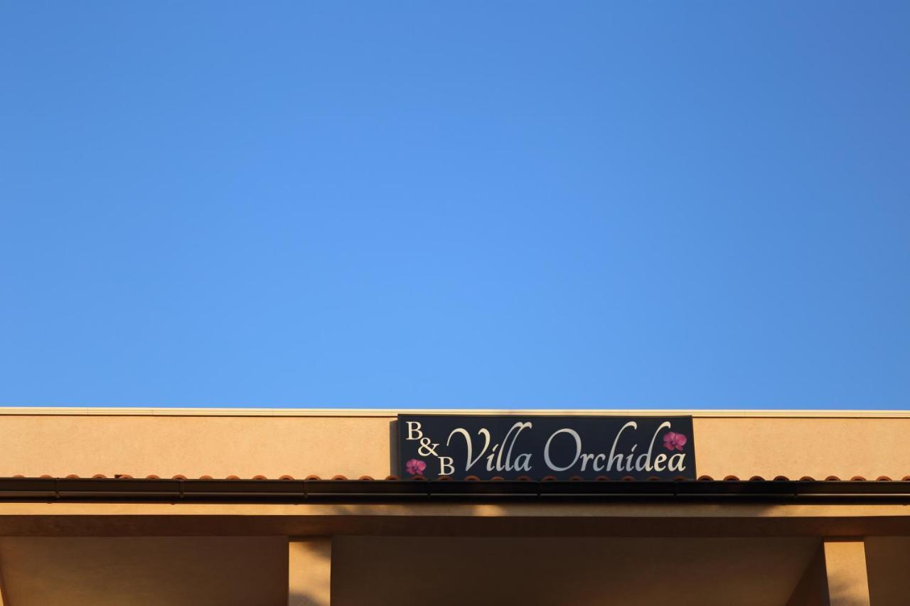 B&B Villa Orchidea Ricadi Extérieur photo