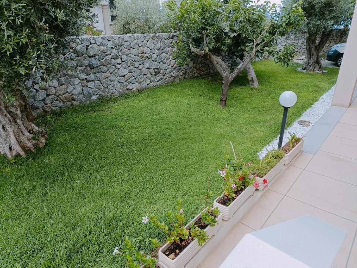 B&B Villa Orchidea Ricadi Extérieur photo